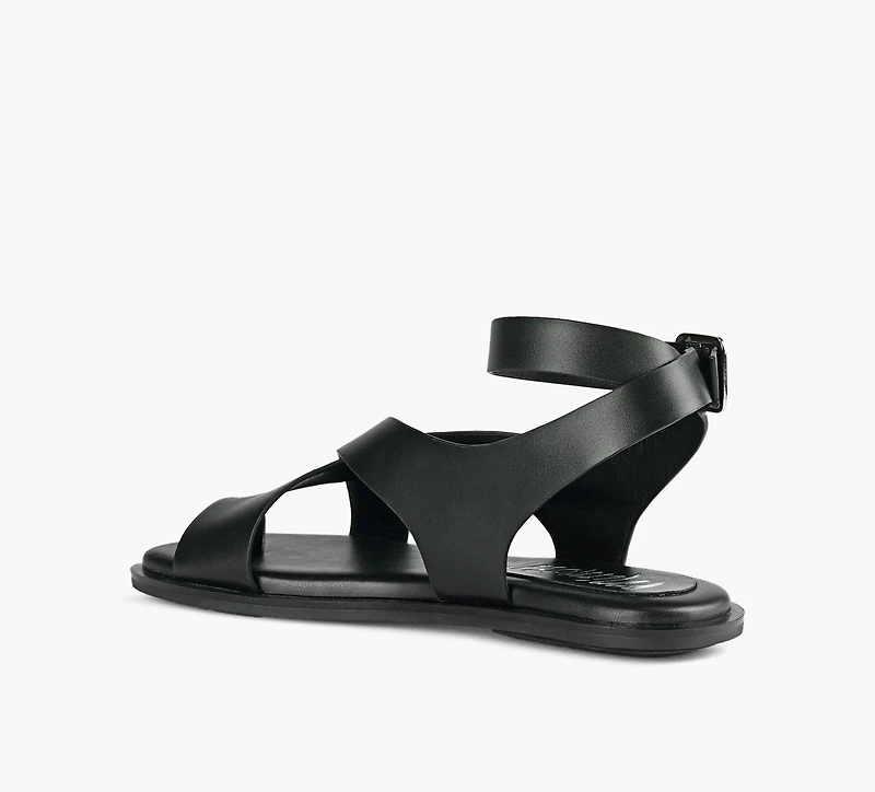 MIMOSA | MERLOT NOIR FEMMES