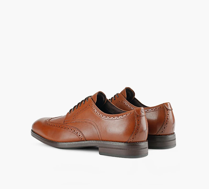 COLE HAAN | OXFORD GRAND WINGTIP HARMON TAN HOMMES