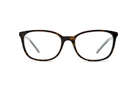 TF-2109HB