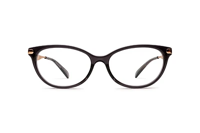 HC-6245F