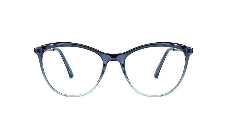 BLU-1003
