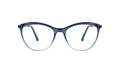 BLU-1003
