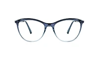BLU-1003