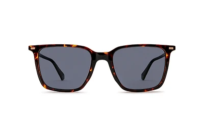 PLD-4183 S X