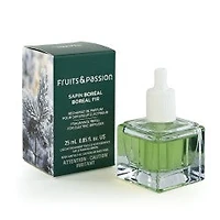 Fragrance Refill for Electric Diffuser | Boreal Fir | 25 mL