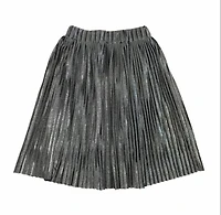 Silver skirt midi