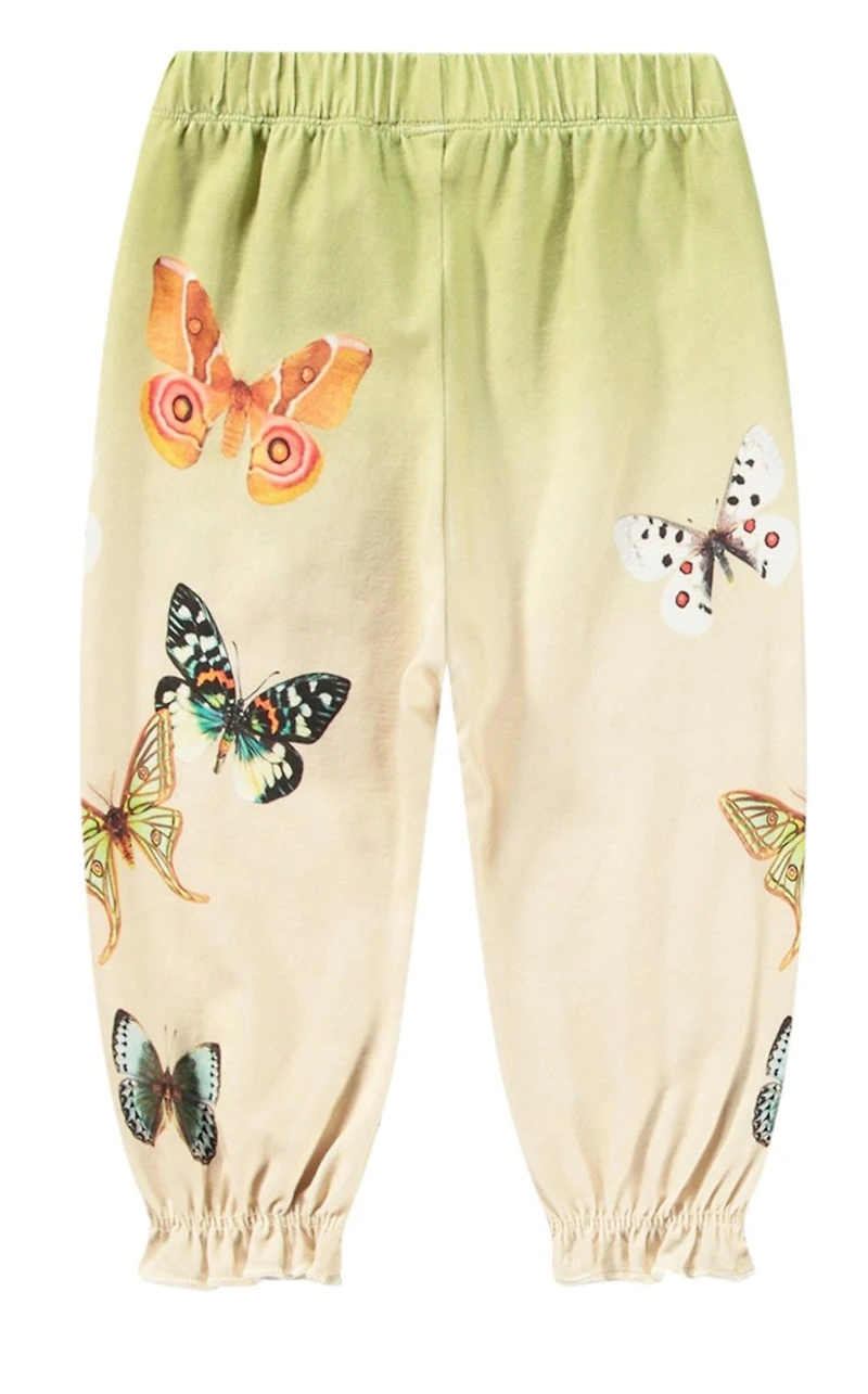 Papillon printed Pants