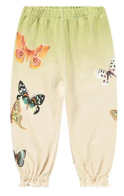 Papillon printed Pants