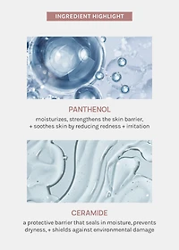 AOA Skin Panthenol + Ceramide Sheet Mask