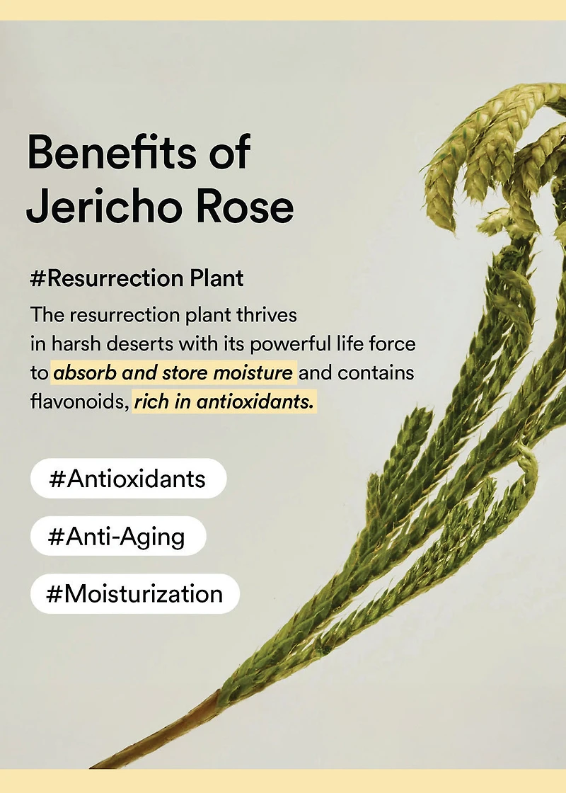 Abib Collagen Eye Patch Jericho Rose (60 Patches)