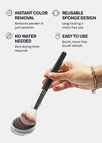 AOA Quick Brush Cleaner