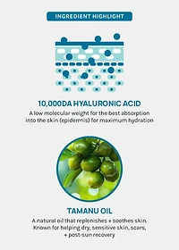 AOA Skin 10,000da Hyaluronic Acid + Tamanu Oil Sheet Mask