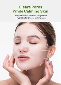AOA Skin Salicylic Acid + Tea Tree Sheet Mask