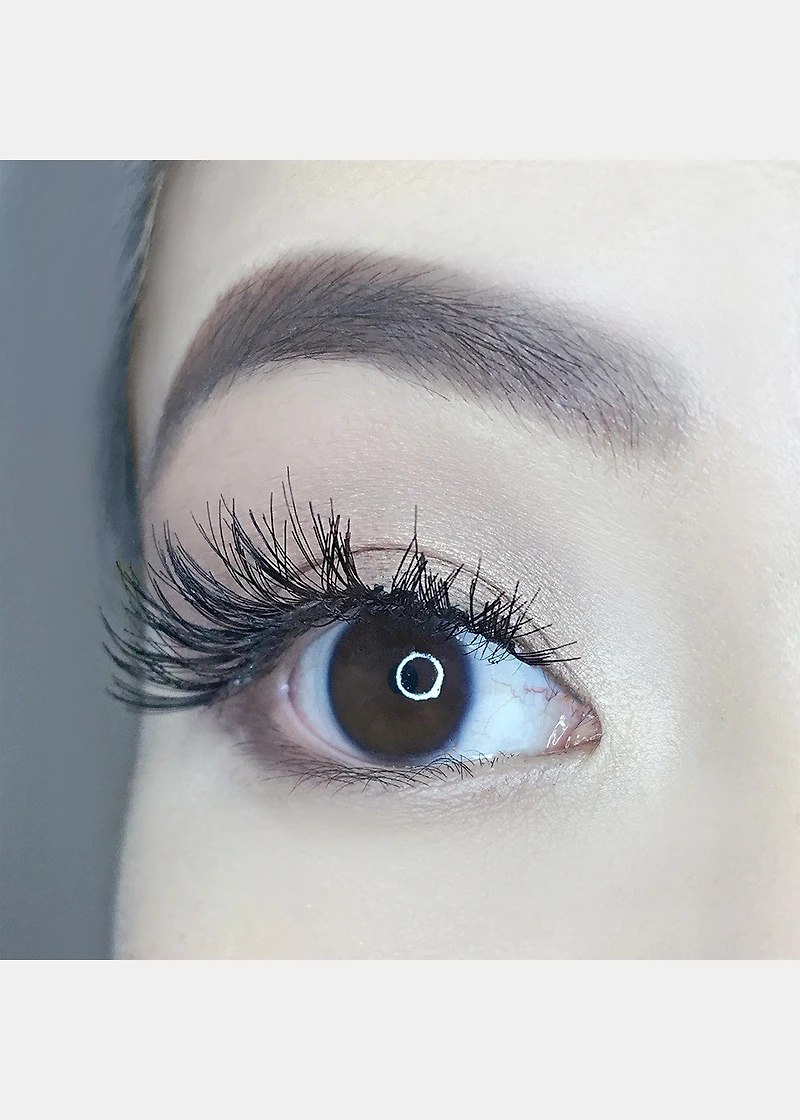 AOA Studio Eyelashes - Alexis 6-Pack