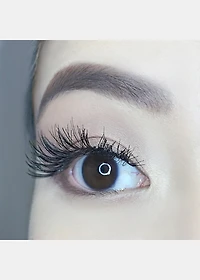 AOA Studio Eyelashes - Alexis 6-Pack