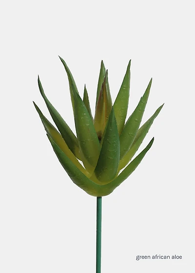 Official Key Items Artificial Succulents - Green African Aloe