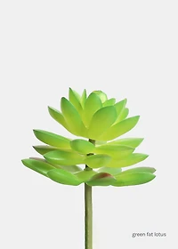 Official Key Items Artificial Succulents - Green Fat Lotus