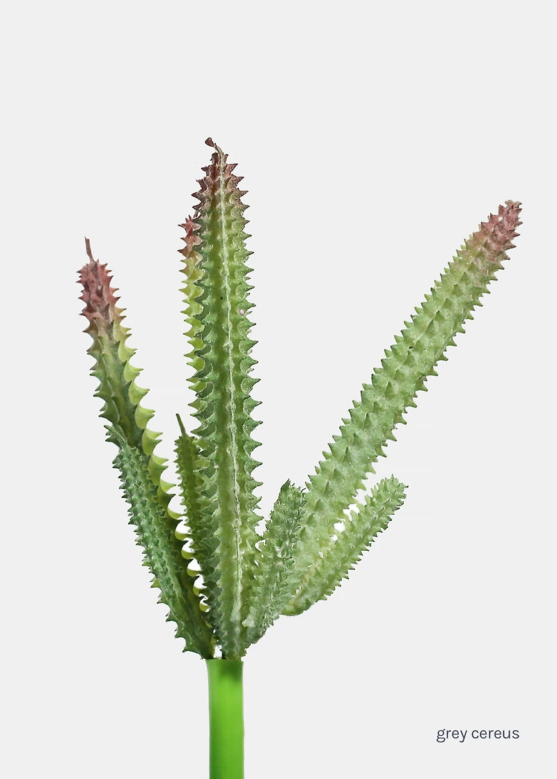 Official Key Items Artificial Succulents - Grey Cereus
