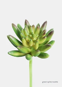 Official Key Items Artificial Succulents - Green Spike Rosette