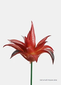 Official Key Items Artificial Succulents