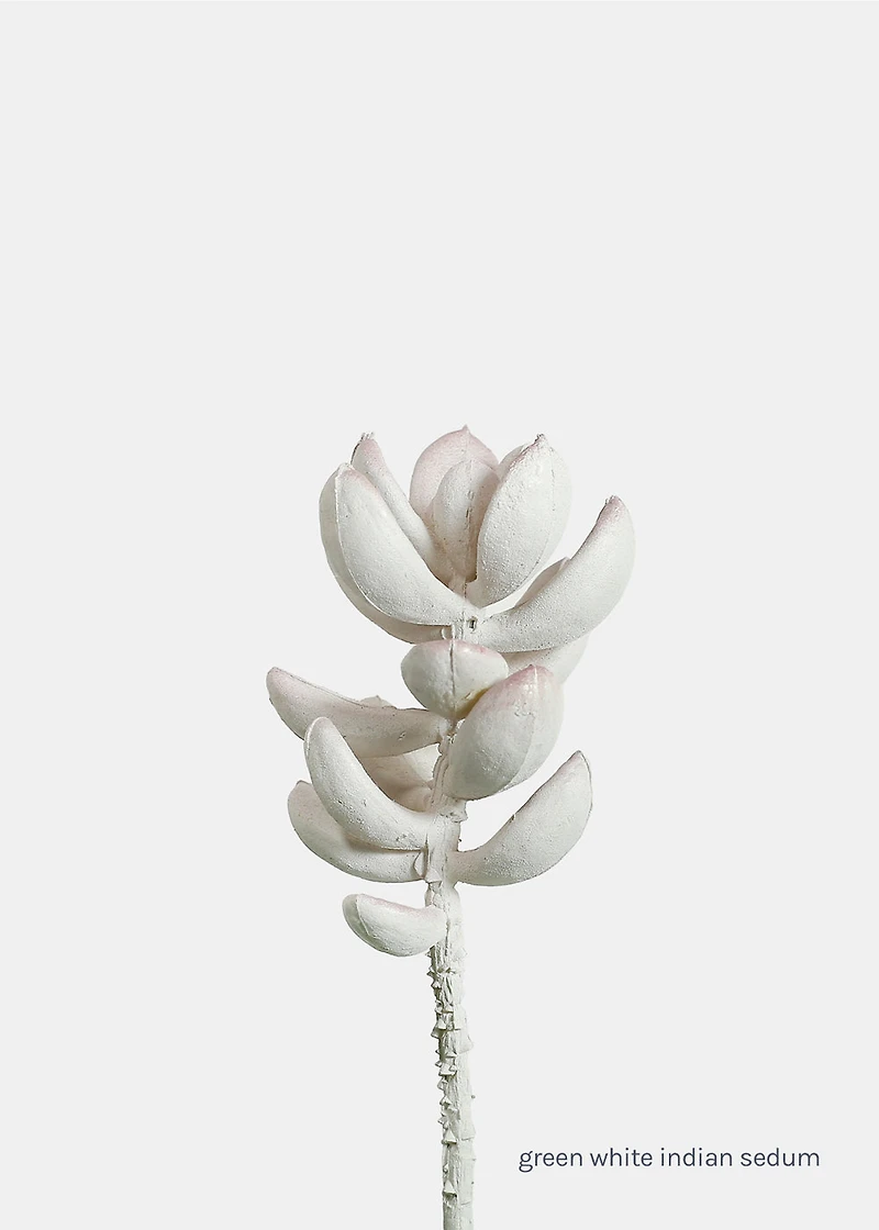 Official Key Items Artificial Succulents - Green White Indian Sedum