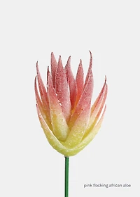 Official Key Items Artificial Succulents - Pink Flocking African Aloe
