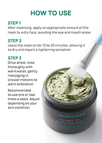 BRINGGREEN Tea Tree Cica Pore Clay Pack Strong 100g
