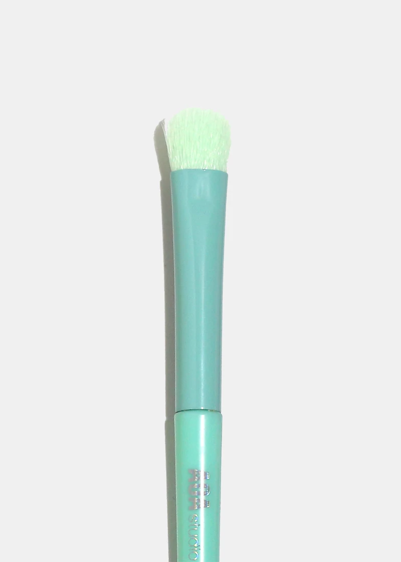 AOA Rainbow Single Brush – E143 Shader or Concealer Brush