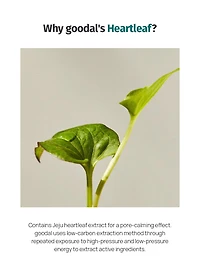 goodal Heartleaf Hyaluron Soothing Pore Cleansing Oil 200ml