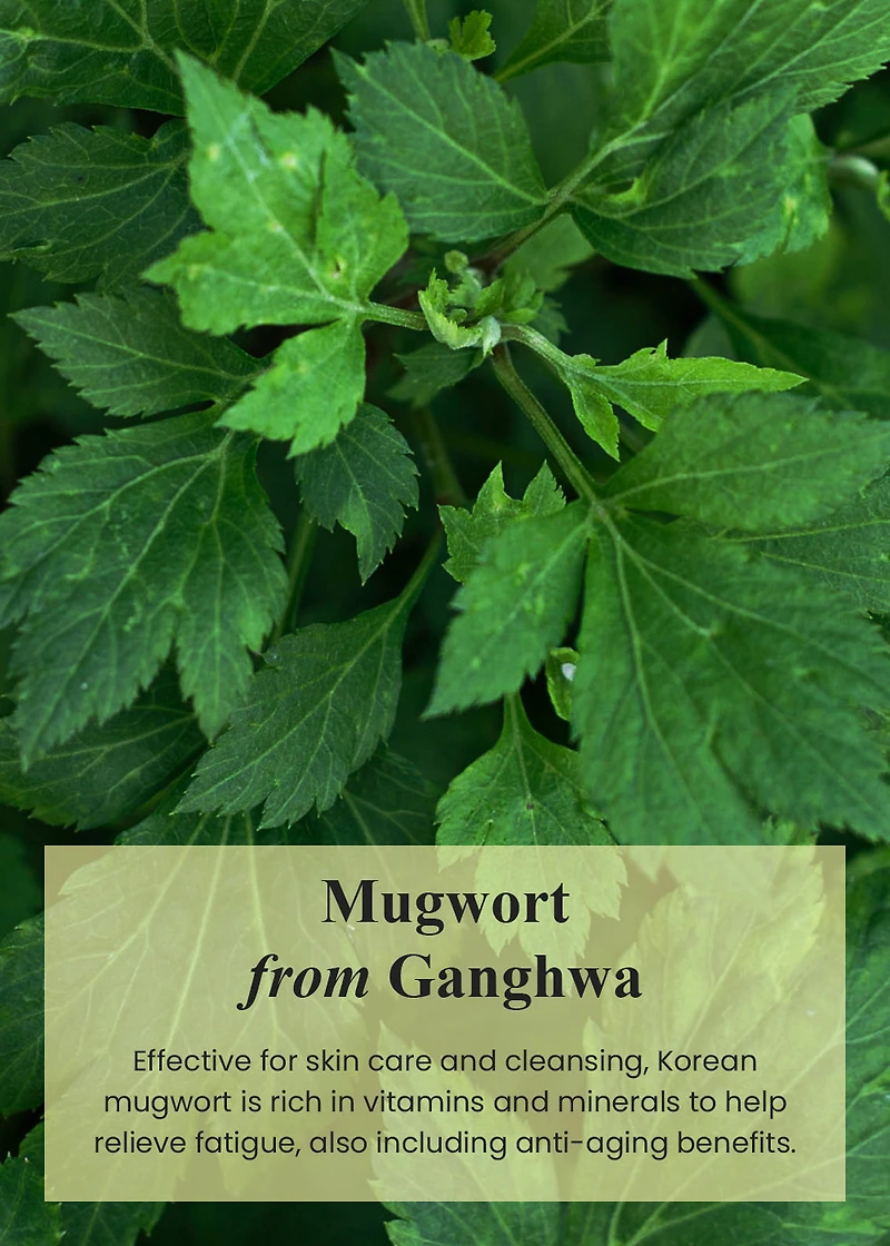 I’m from Mugwort Cream 50g