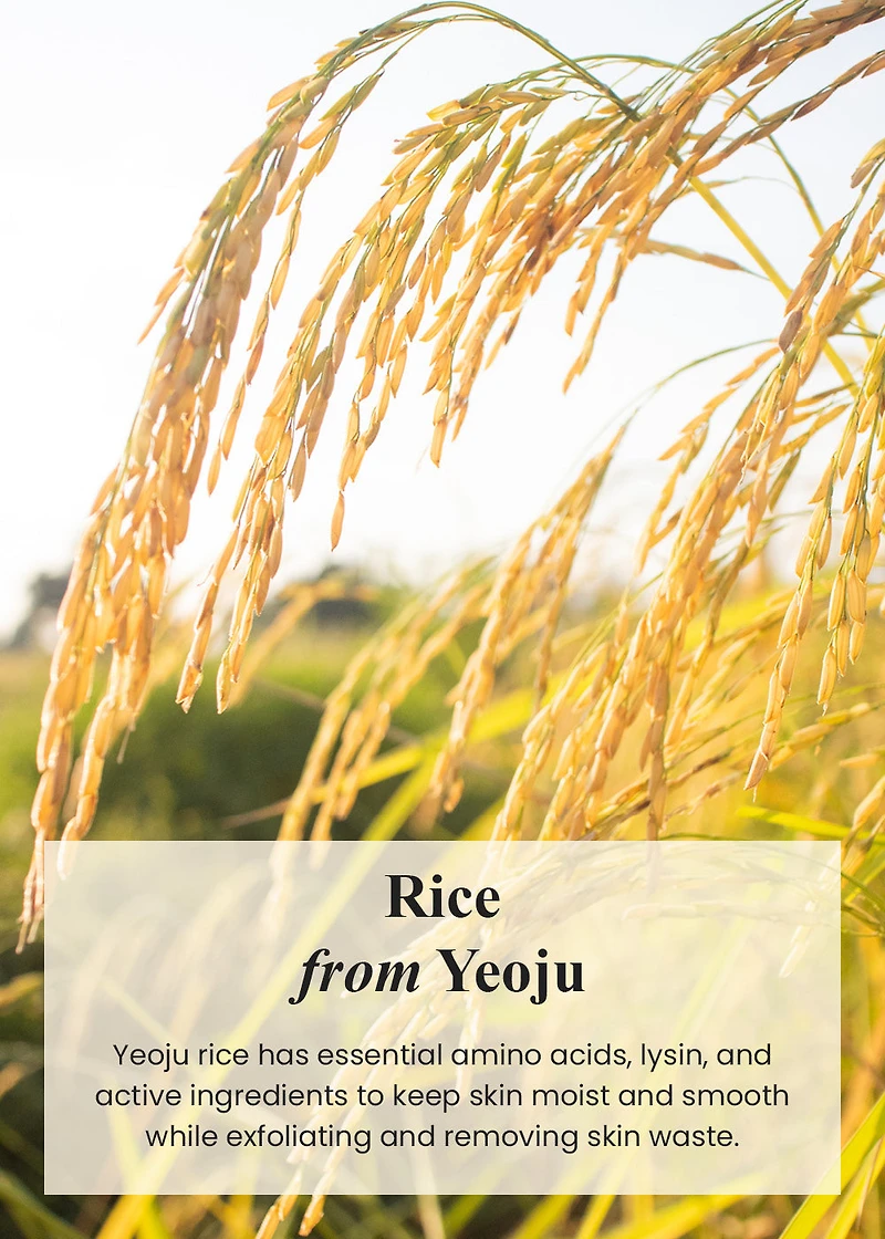 I’m from Rice Mask 110g