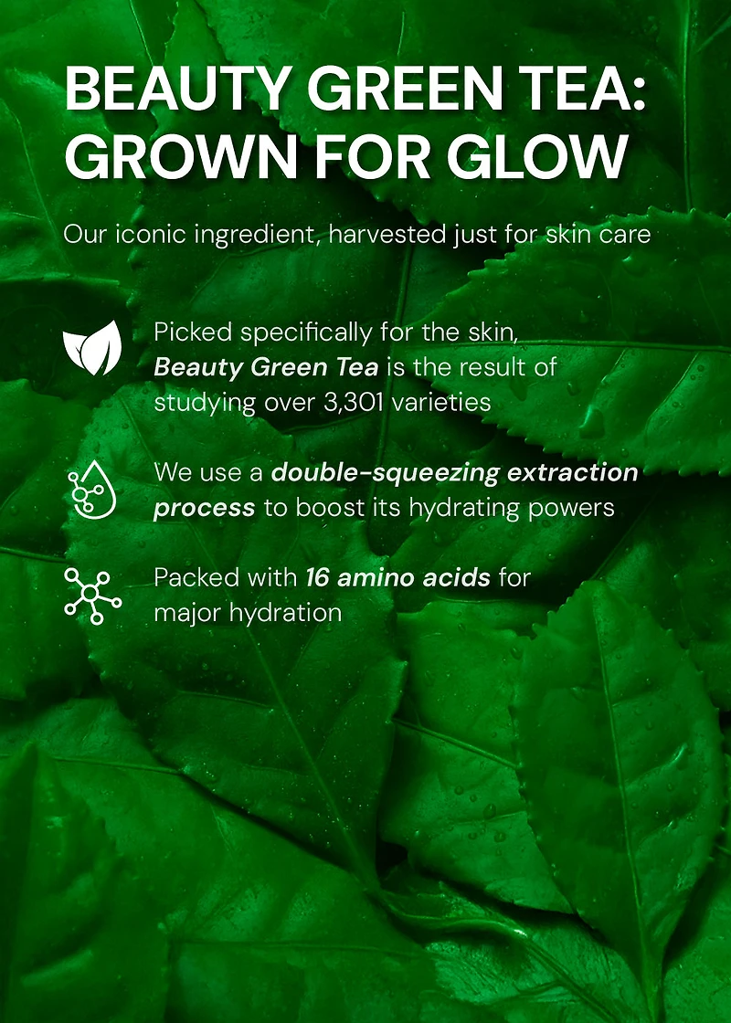 INNISFREE Green Tea Seed Hyaluronic Acid Serum 80ml