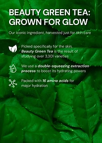 INNISFREE Green Tea Seed Hyaluronic Acid Serum 80ml