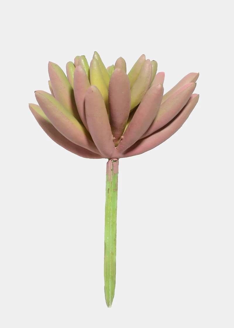 Official Key Items Artificial Succulents