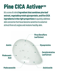 ROUND LAB Pine Calming Cica Ampoule 30ml