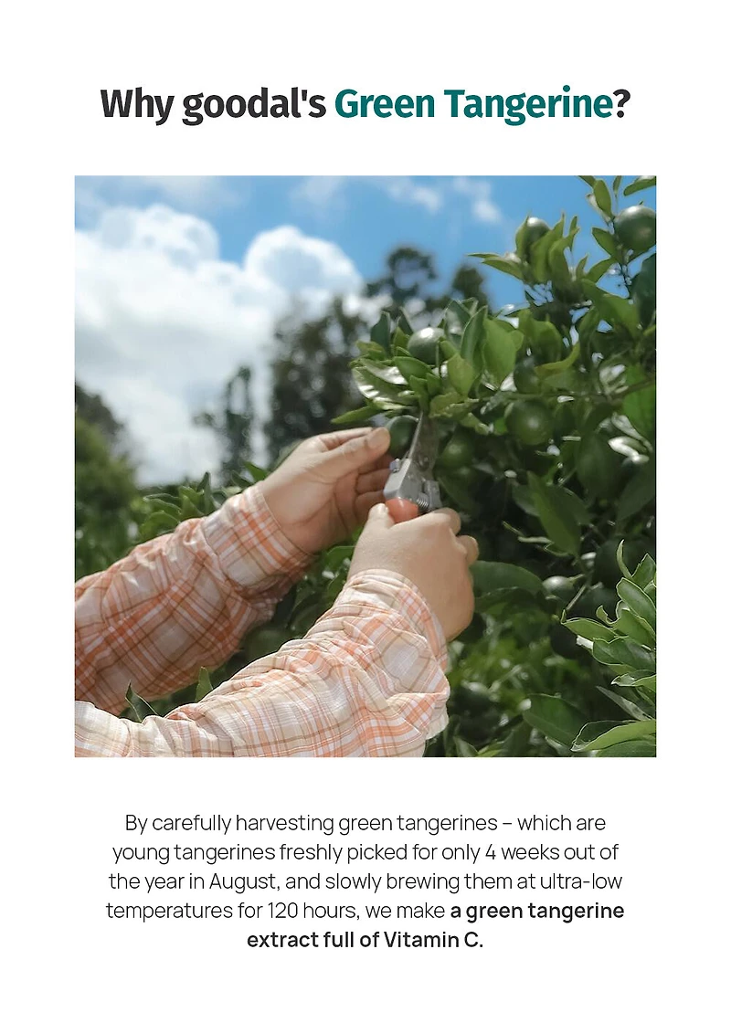 goodal Green Tangerine Vita C Toner 300ml