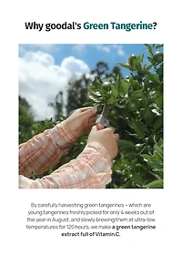 goodal Green Tangerine Vita C Toner 300ml