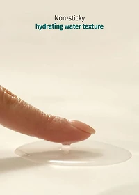 goodal Green Tangerine Vita C Toner 300ml