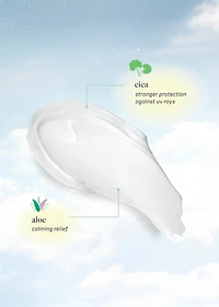 dearcloud Tone Blur Essence Sunscreen 50g