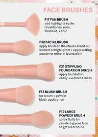 AOA Matte Rose Brush Set + Satin Travel Roll