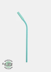 Official Key Items ReUse Metal Straw: Mint Short Bent