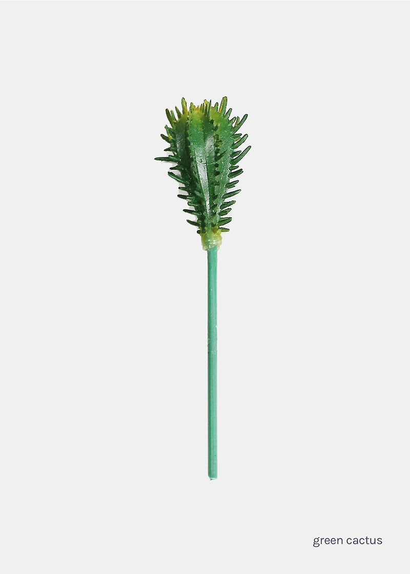 Official Key Items Small Succulents