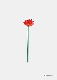Official Key Items Small Succulents