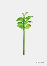 Official Key Items Small Succulents