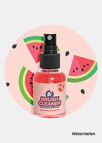 AOA Brush Cleaning Spray