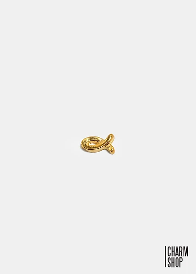 Christian Fish Locket Charm