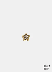 Golden Crystal Star Locket Charm