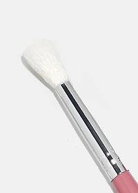 Paw Paw E127 Tapered Blending Brush