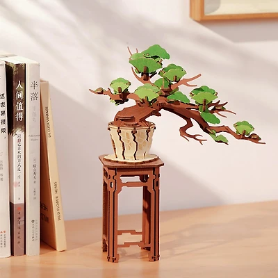 Rolife Classical Puzzle Series TG510 Evergreen Pine Bonsai