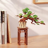 Rolife Classical Puzzle Series TG510 Evergreen Pine Bonsai